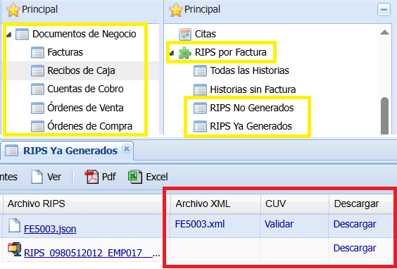 Funcionalidades FEV + RIPS